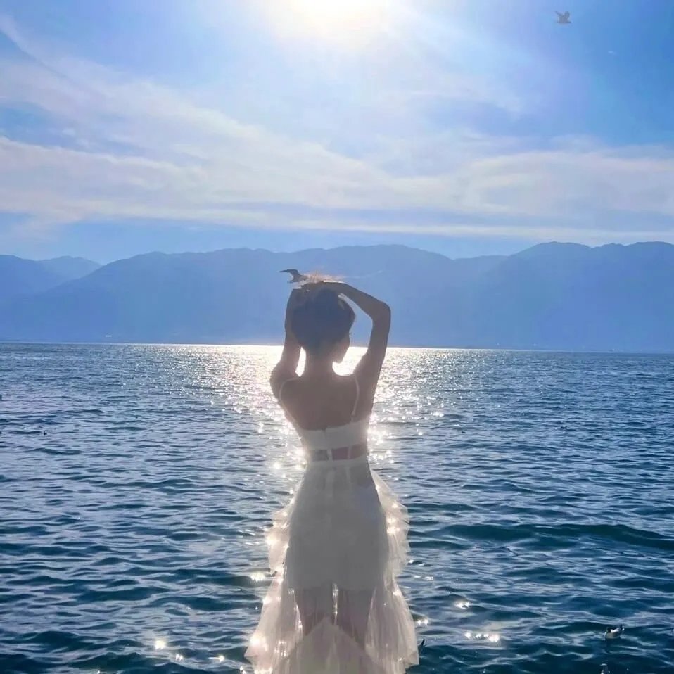 花落花开海报