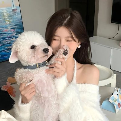 梦断影都海报